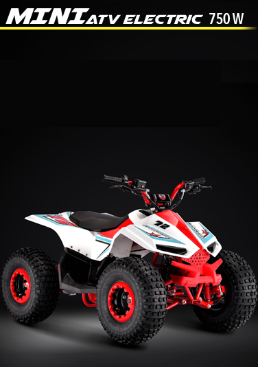 Mini ATV kid scooter velocifero electric fun 